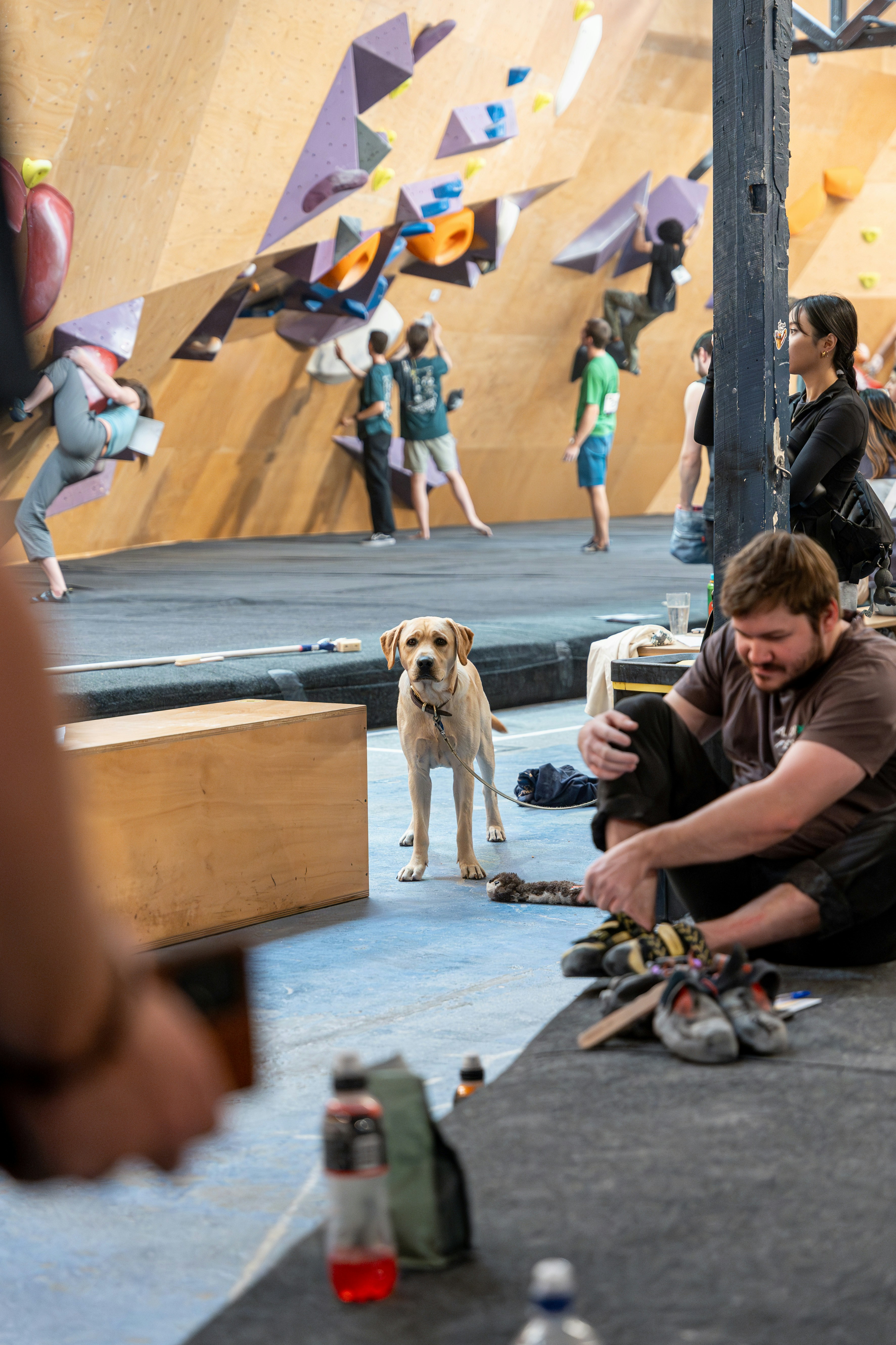 Sports management software